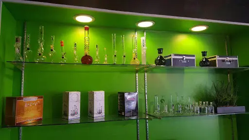 Reputable CBD Shops in Brooklyn, New York With Best Price