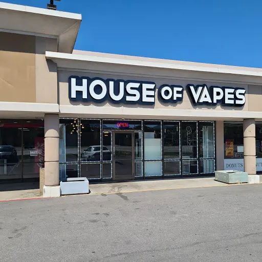 vap house Hookah Blueberry Ice ohne Nikotin | Vape Aroma King | Vapes main image 1
