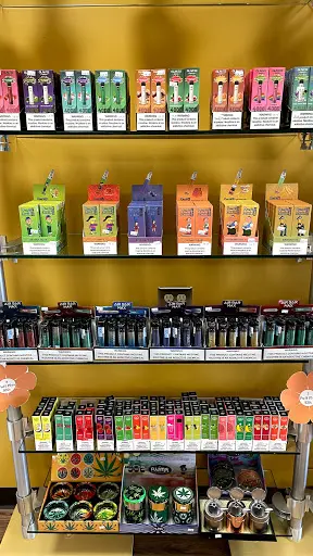 101 smoke shop | Headshop in Windsor, Connecticut