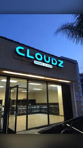 Reputable Vape Shops in Los Angeles, California With Best Price