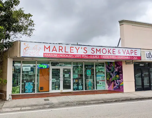elfbar nachfüll pod läuft aus Smoke Shop in Fort Lauderdale