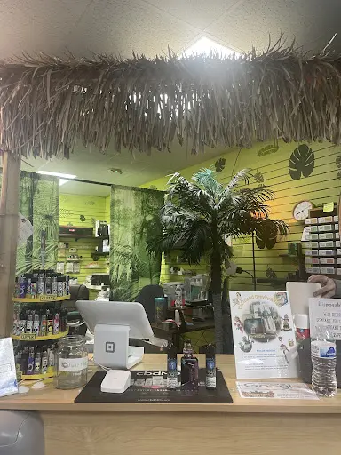 vape shop hayling island Tiki island Vapes and CBD