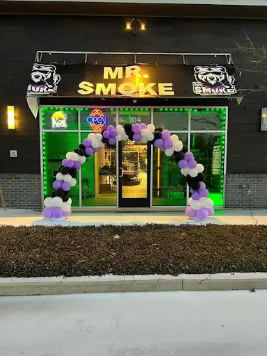 how much is elf bar vape Mr. Vapes Mexico