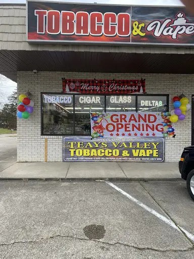 elfbar nachfüll pod läuft aus Cj's Vapehouse main image 1