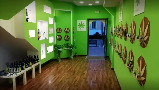 Reputable Vape Shops in Thunder Bay, Ontario With Best Price Reputable Vape Shops in Thunder Bay, Ontario With Best Price