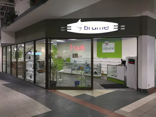 elfbar nachfüll pod läuft aus Vapes s Sans Nicotine Vapoteuse Jetable – Vapor Shoppe