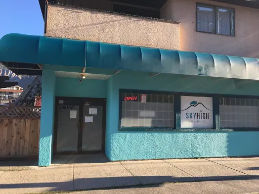 vape store squamish Disposable Vapes – Squamish Vapor main image 1