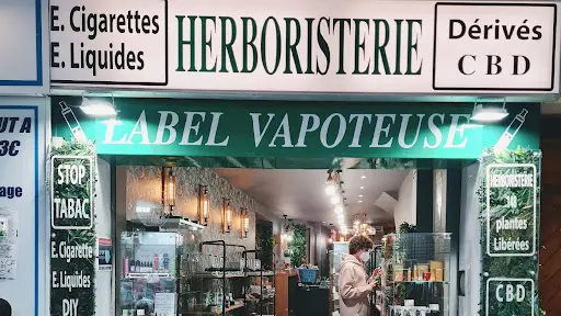 vape cannes Homemade Vape Plans You Can DIY Easily main image 1