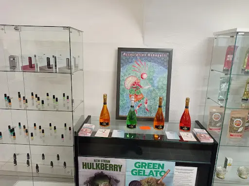 Reputable Vape Shops in Alès, Occitania With Best Price
