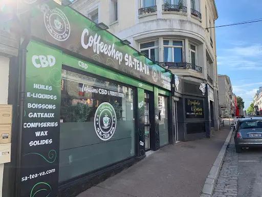 vape shop lorient LOST VAPE Orion Mini 17W Pod System main image 1